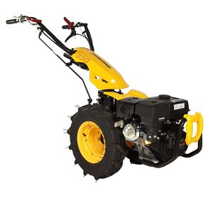 Motocultor multifunctional ProGARDEN Campo U9, 9CP, benzina, 3+2 viteze, reductor [BT330/G177]